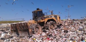 The New Hanover County Landfill will start accepting yard waste in a pilot program meant to prevent such waste from entering the landfill. Materials received will be used to create mulch for topsoil that would then cover the landfill. Photo courtesy New Hanover County.