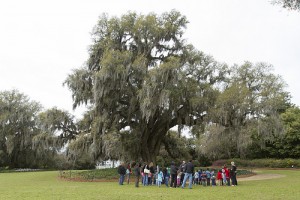 The North and South Carolina Space Grants have teamed up to coordinate dozens of viewing parties across the states, including one at Airlie Gardens, in Wilmington. Once the eclipse begins, eclipse viewing glasses will be on hand, courtesy of UNCW CESTEM, and the Carolina's Solar Eclipse party.&nbsp; (Port City Daily photo / FILE PHOTO)