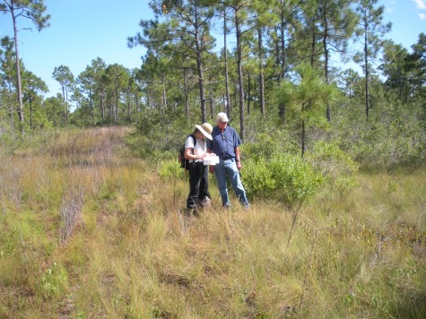 Conservancy staff survey the land that will become Sage's Ridge Preserve, off U.S. 17 near the Onslow County line.