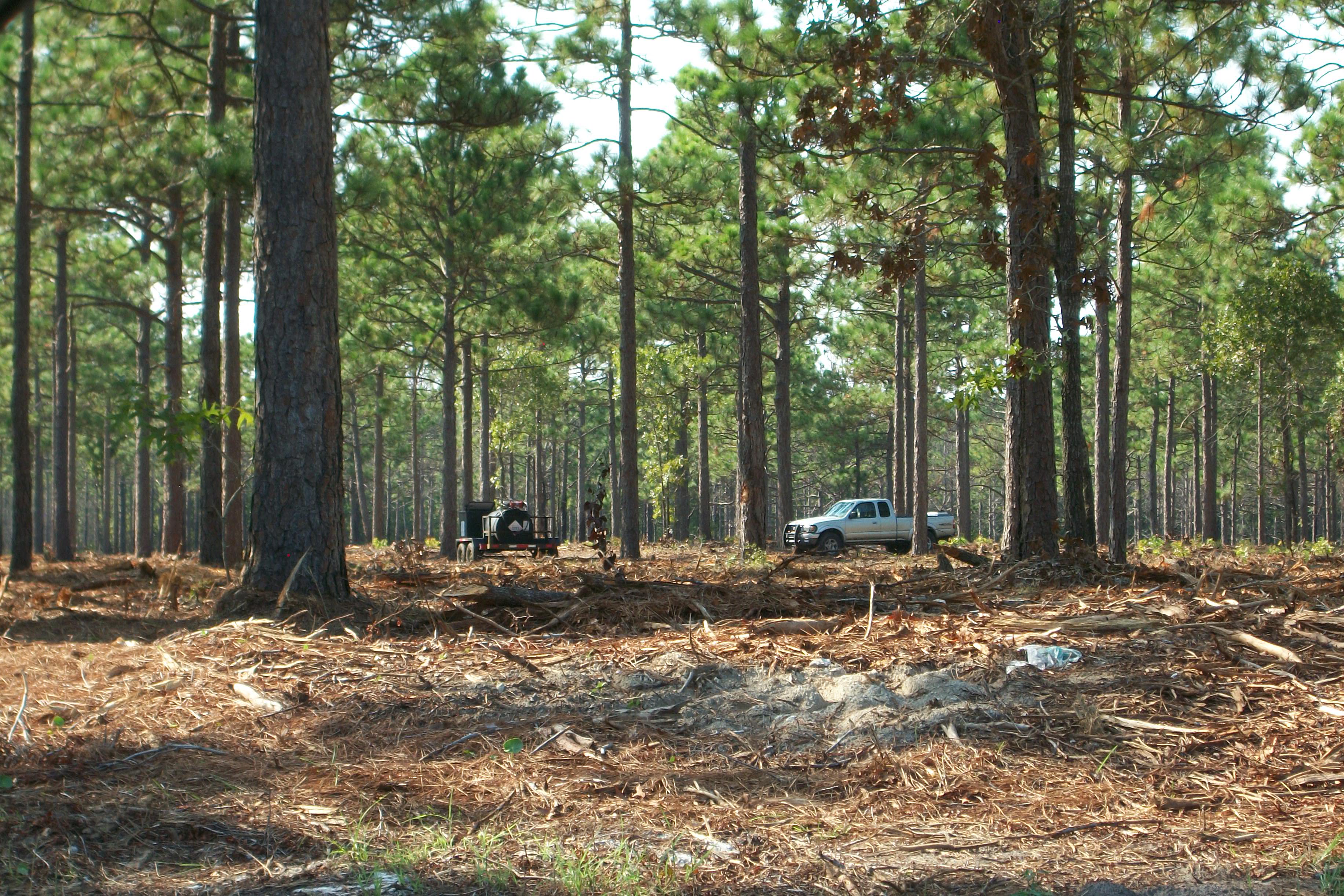 Crews are clearing brush and conducting site work on land slated for Barclay West, a 300-acre development planned at 17th Street and Independence Boulevard.