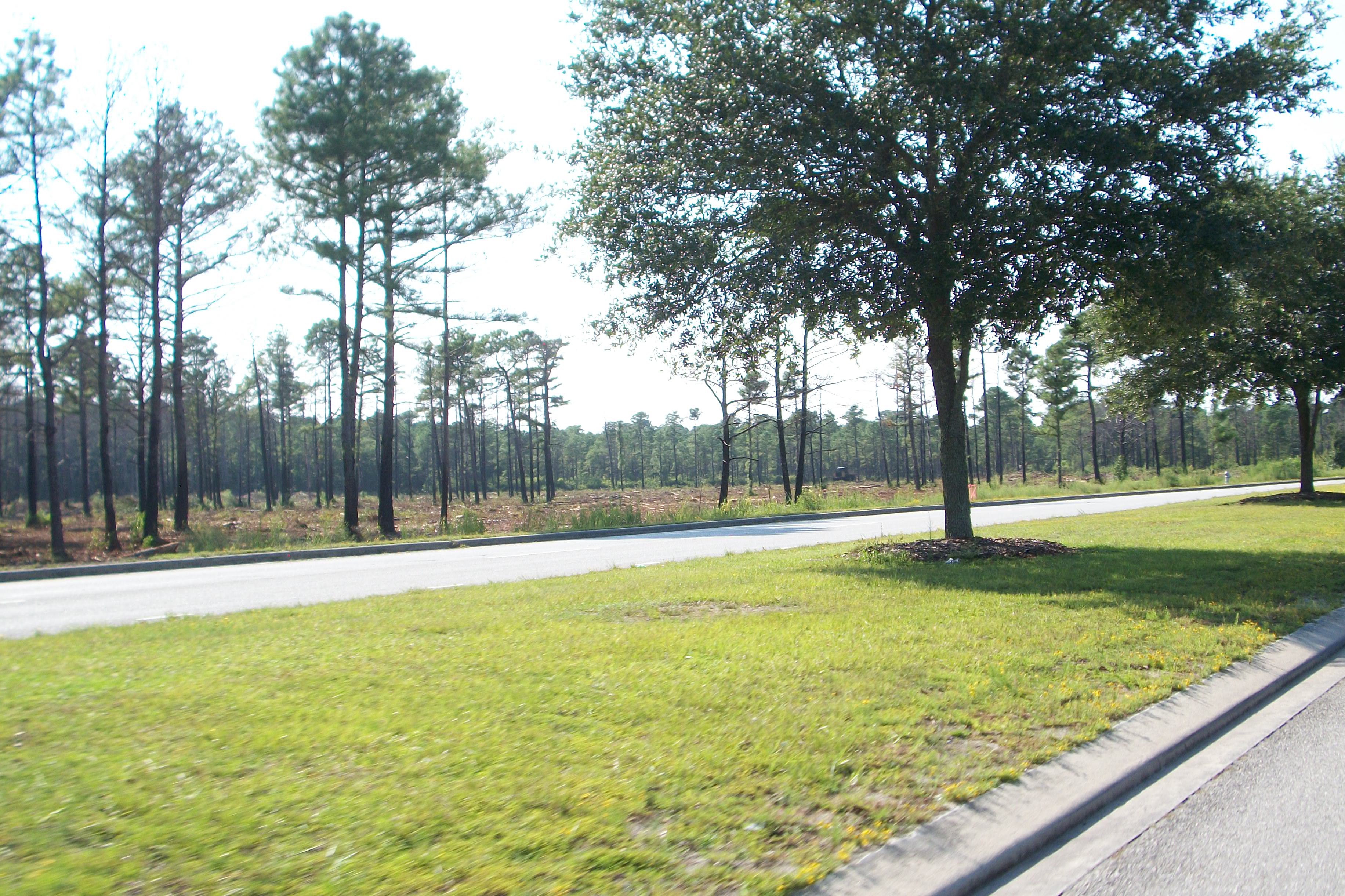 Clearing along 17th Street south of Cameron Art Museum is the first sign of site work for Barclay West, a mixed-use development that recently received rezoning approval. Photos by Jonathan Spiers.