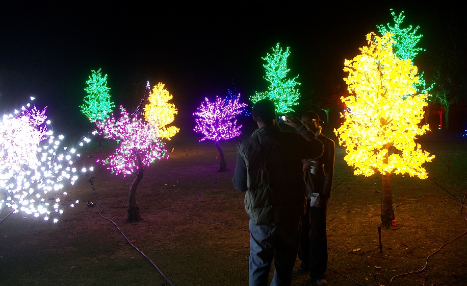 Colorful forests invite picture-taking at "Enchanted Airlie," Airlie Gardens' holiday tradition. Photos by Jonathan Spiers.