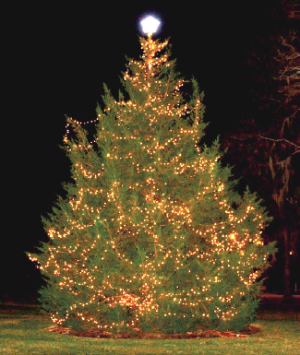 Photo courtesy City of Wilmington.