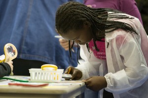 Kids become detectives at 'Mystery at the Museum,' an annual 'whodunit' that takes place Saturday. Photo courtesy Cape Fear Museum.