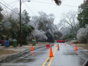 Cones surround a downed power line crossing Burnett Boulevard near the Port of Wilmington. Photo by Jonathan Spiers.