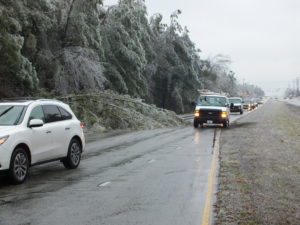 Motorists maneuver around a downed tree on Shipyard Boulevard. Photo by Jonathan Spiers.