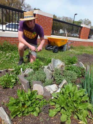 FoodCorps service member Tim Williams' work through Feast Down East with area school gardens, like this one at Snipes Elementary, got the attention of First Lady Michelle Obama, who recently invited him to help plant the White House's kitchen garden. Photo by Hilary Snow.