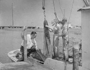 A photograph of fishermen working on a trawl net, about 1950. Cape Fear Museum collection.