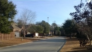 A photo taken from the New Haven subdivision, just west of the proposed tower site off Murrayville Road, shows an image of a cell tower superimposed over a balloon that was floated to show the proposal's height. The original photo of the balloon is below. Wilmington architecture firm LS3P Associates superimposed the photo, attorney John Wessell said.