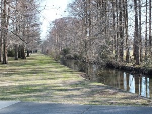The neighborhood is bordered to the west by Wallace Park, which runs alongside Burnt Mill Creek, seen here from Market Street.