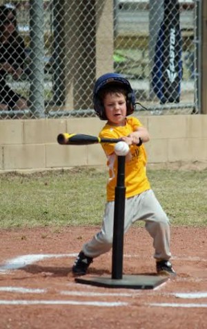 Halo Sport baseball will have a tee ball division this spring. 