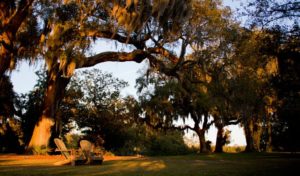 Airlie Gardens. Photo courtesy New Hanover County Government. 