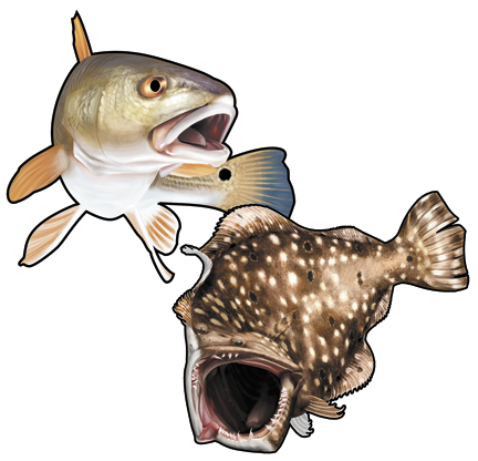 Photo courtesy- Fisherman's Post. 