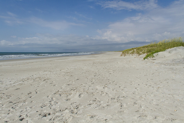 Photo Courtesy of New Hanover County. Photo by: Charles Smith