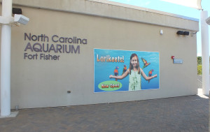 The North Carolina Aquarium at Fort Fisher is offering visitors a chance to experience its exhibits for free on Monday (Port City Daily photo/FILE)