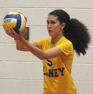 Sarah Shropshire. Photos by Joe Catenacci 