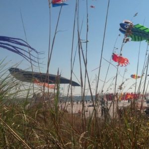 Photo Courtesy of Cape Fear Kite Festival.