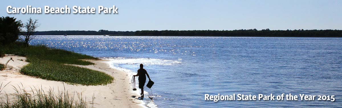 Carolina Beach State Park, 2015's Regional Park of the Year. Courtesy photo.