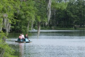 Paddleboaters on Greenfield Lake. Photo courtesy of the City of Wilmington.