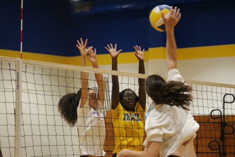 The Bucs are led by senior outside hitter Hannah Freas, left. 