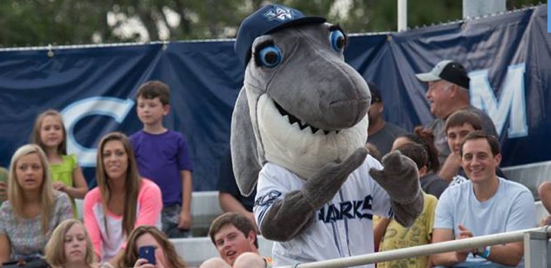The Wilmington Sharks could host a home playoff game this week. 