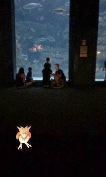 A Pokeman Go screenshot captured inside the Fort Fisher Aquarium at Kure Beach.