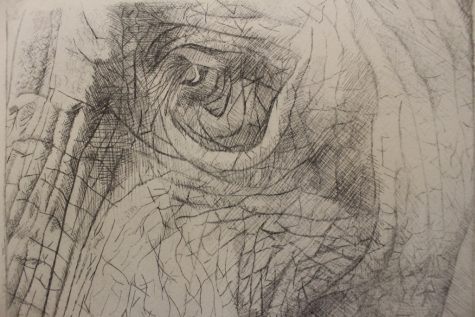 "Elephant" Lillian Rogers