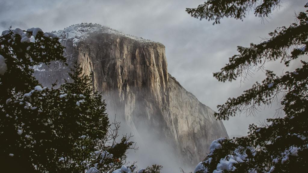 Yosemite National Park. All photos courtesy T.J. Drechel / portcitydaily.com