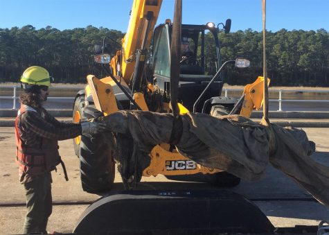 A pre-Colonial cannon, seen here being off-loaded at the Brunswick Town/Fort Anderson Historic Site, was pulled from the Cape Fear River on Dec. 21.