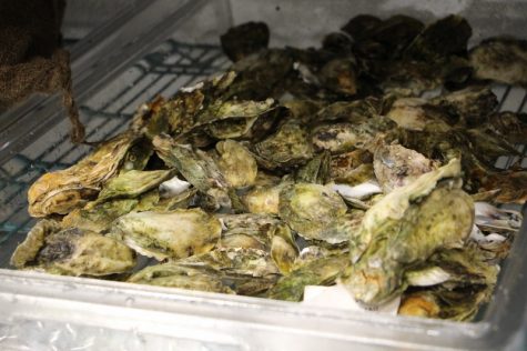 "These are Masonboro oysters," said Watkins. "They came out of the water at 4 p.m. yesterday. That's how fresh your oysters should be."