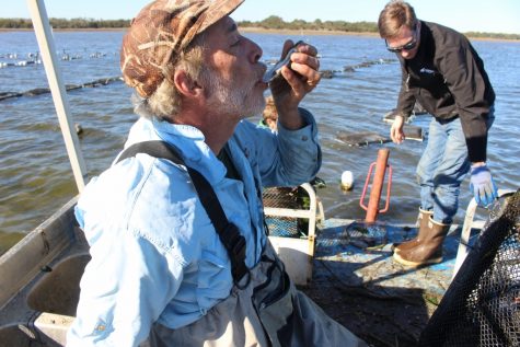 'I ask my chefs not to put anything on the oysters,' Holbrook said. 'If you did put anything on there, I would say two eye-droplets of gin [Holbrook recommends Hendrick’s for its cucumber notes] and some salmon eggs. You could use flying fish roe, too.' (Photo by Benjamin Schachtman)