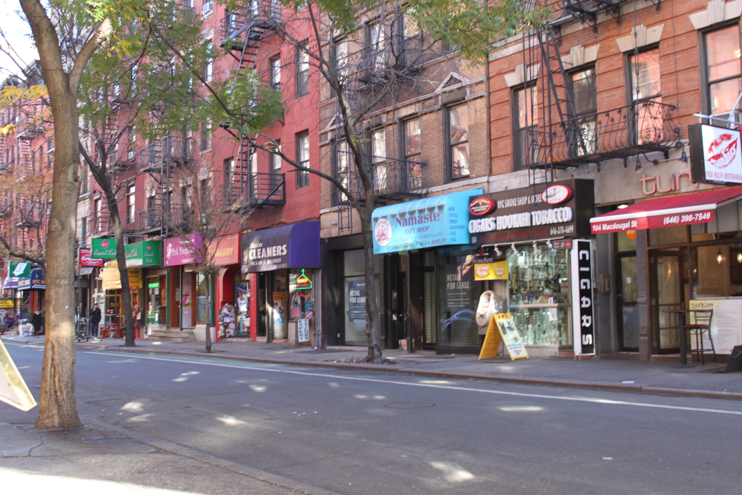 Greenwich Village in New York City. (Photos courtesy Allison Carter)