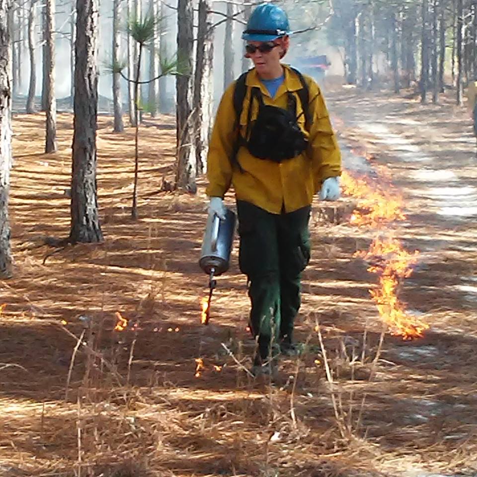 A controlled burn by the Nature Conservancy in North Carolina (Photo courtesy The Nature Conservancy in North Carolina Facebook page)