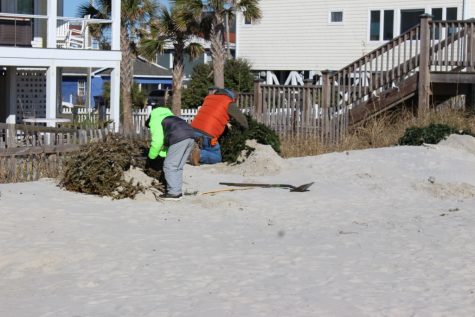 Surfrider xmas tree (5) (1024x683)