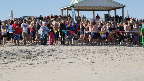 polar plunge 2