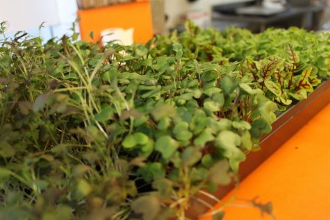 Craig Love Surf House (1) (1280x853)