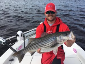 A nice Cape Fear River Striped Bass. (Courtesy: Capt. Jot Owens)