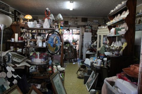 Mary Paulsen (30) (1024x683)