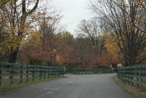 "While hailed by magazines as one of the most picturesque country towns, Bardstown is not a place for adventure-seekers," Allison Carter writes. (Photo courtesy Allison Carter)