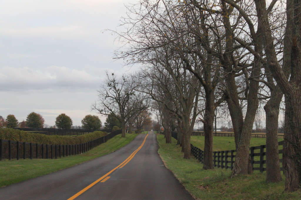 "While bourbon country has over 20 distilleries, with only 10 of those on the official Kentucky Bourbon Trail, they are located far apart and have limited hours," Allison Carter writes. (Photo courtesy Allison Carter)