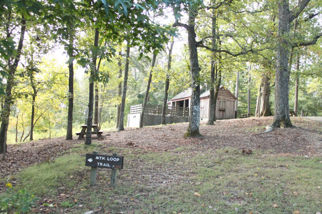 Morrow Mountain State Park. (Photos courtesy Allison Carter)