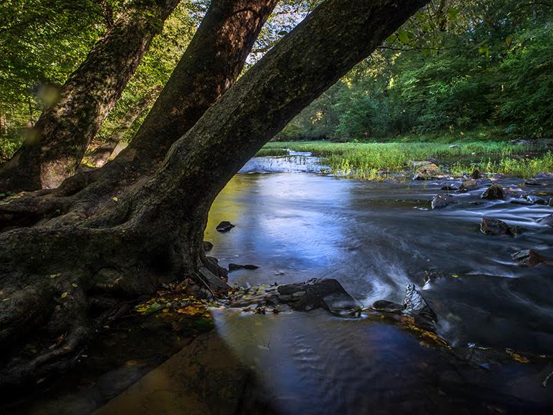  Eno River State Park in Durham and Orange Counties. Photo courtesy NC State Parks