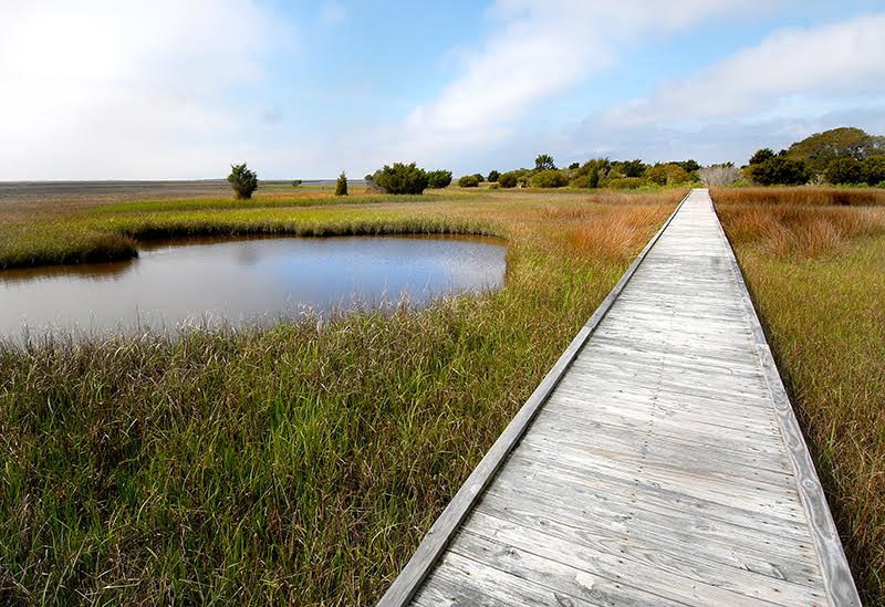 Fort Fisher State Recreation Area in New Hanover County. Photo courtesy NC State Parks