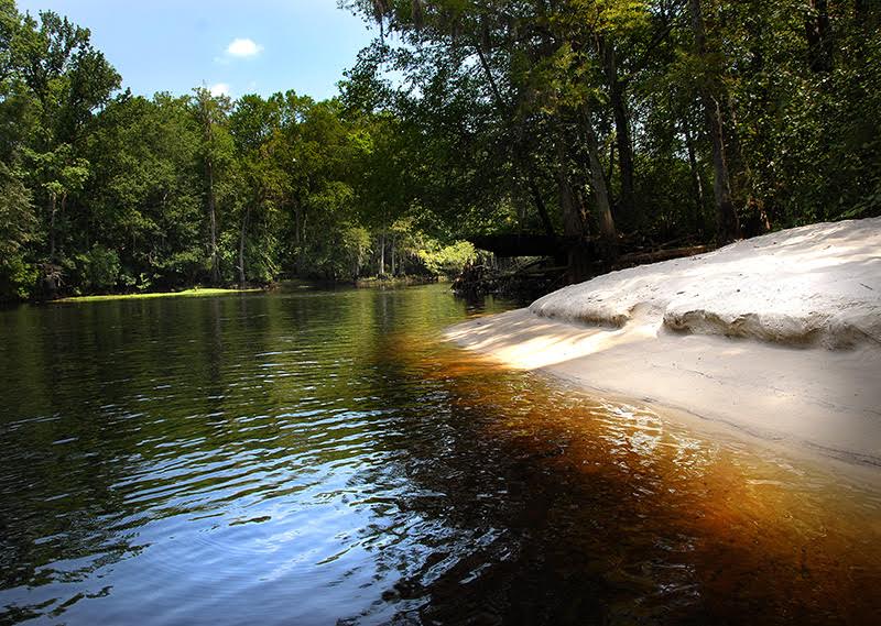 Lumber River State Park in Scotland, Hoke, Robeson and Columbus counties. Photo courtesy NC State Parks
