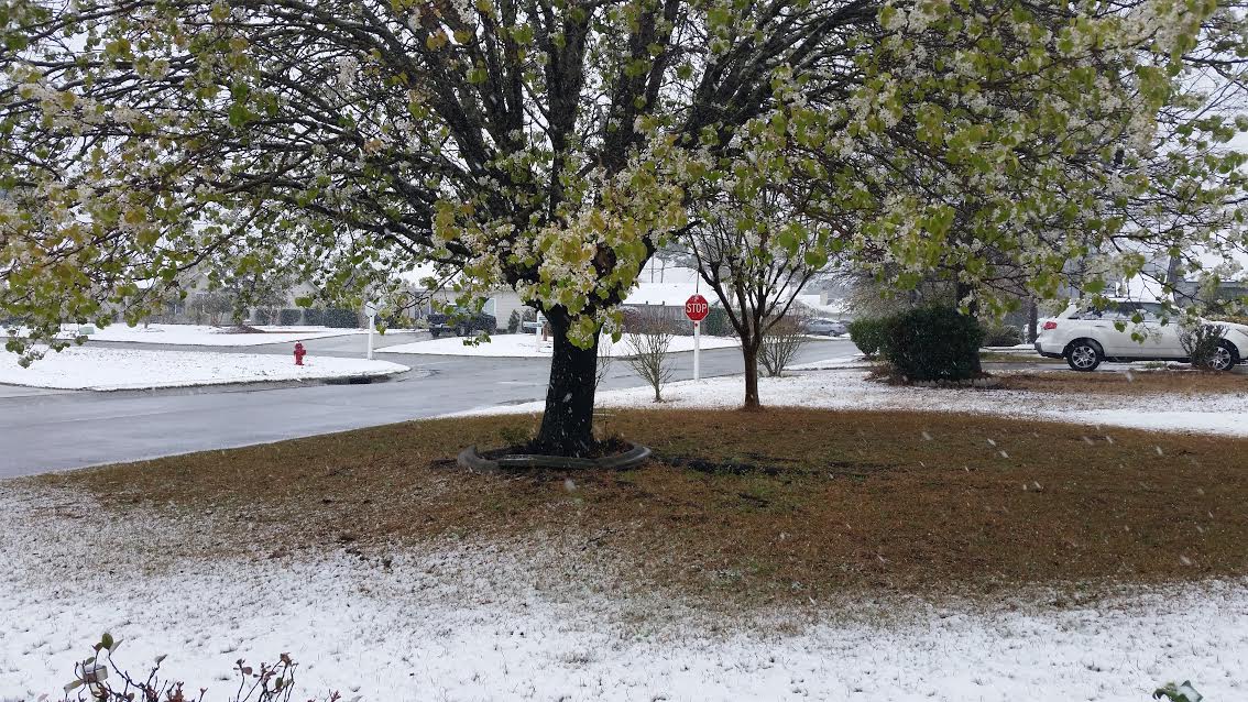 Wilmington saw its first snow fall in the month of March since 1983 on Sunday. 
