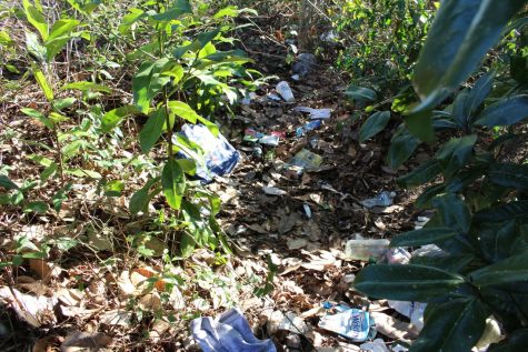 In a wooded area off of Market St., a collection of soiled clothes and blankets, empty alcohol containers and used needs paints one kind of picture of the opioid user: the homeless drug addict. (Photo Benjamin Schachtman)