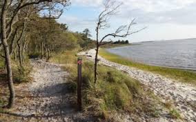 Carolina Beach State Park offers a variety of walking trails. Photo courtesy- CarolinaBeach.org. 