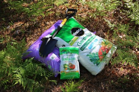 The debate over organics aside, the difference on small scale gardening was minimal: the Miracle Grow cost $7.50, the organic EcoScraps cost $9. (Photo Benjamin Schachtman).