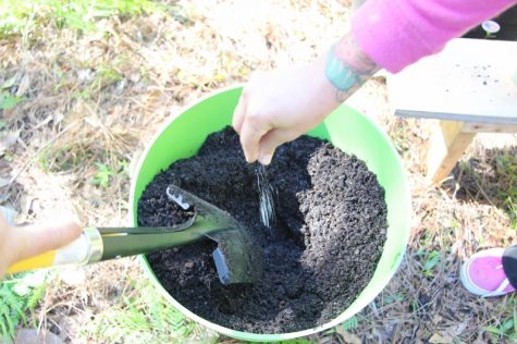 Salting the earth? Some salts - like Epsom salts - are beneficial to plants. Tomatoes, in particular, benefit from them. (Photo Benjamin Schachtman)