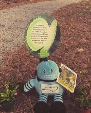 'Kelvin' the ScieNCe Festival mascot. You can win your own Kelvin by participating in the scavenger hunt at the 'Flytrap Frolic' (Port City Daily photo/Courtesy NC COASTAL LAND TRUST)